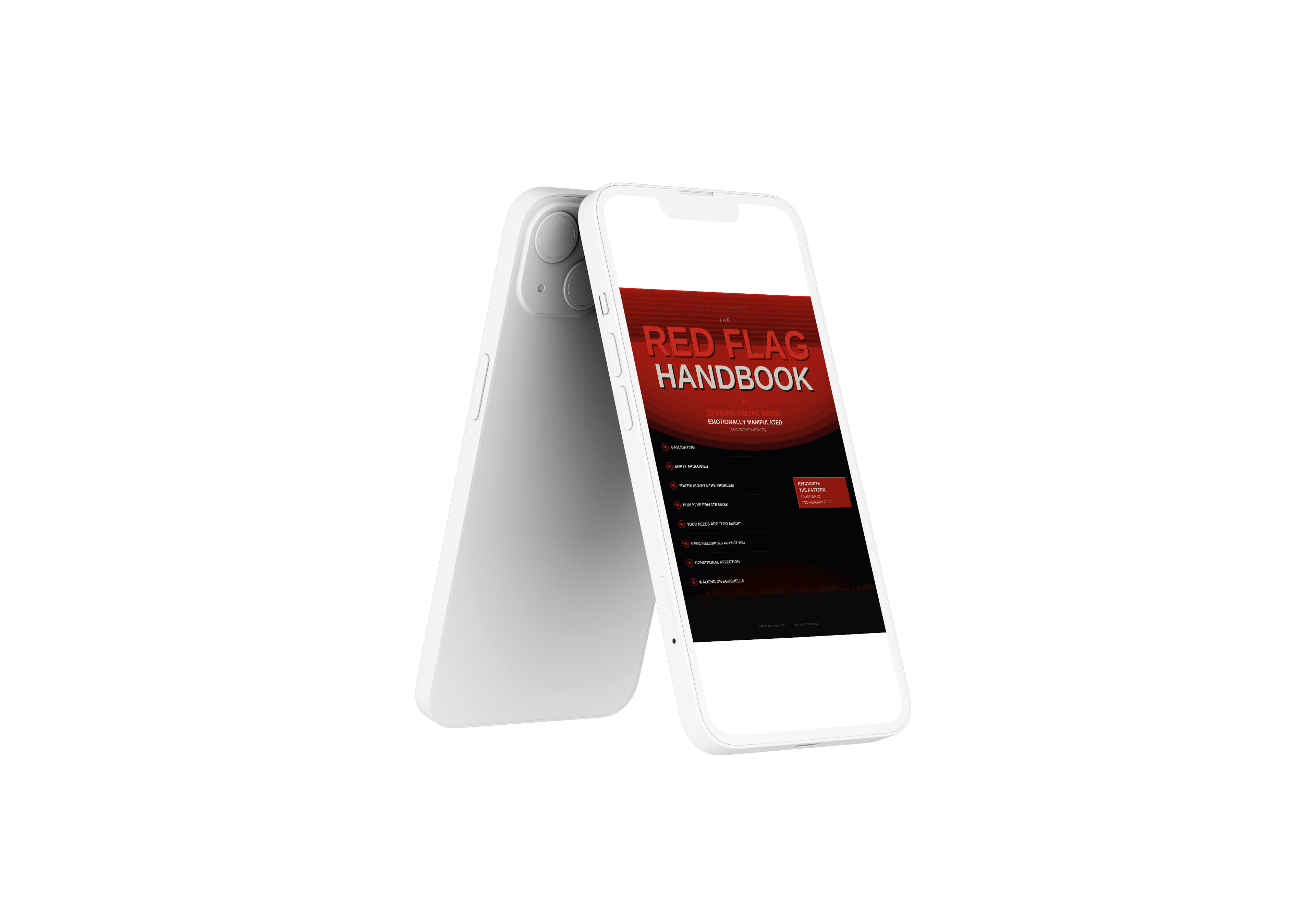 The Red Flag Handbook: 10 Signs You’re Being Emotionally Manipulated (And Don’t Know It) - [Instant Ebook Access]